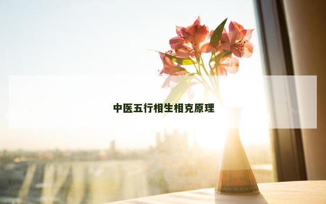 中医五行相生相克原理