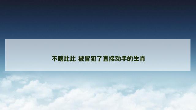 不瞎比比 被冒犯了直接动手的生肖