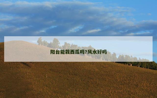 阳台能栽西瓜吗?风水好吗