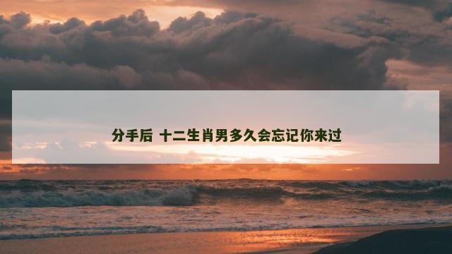 分手后 十二生肖男多久会忘记你来过