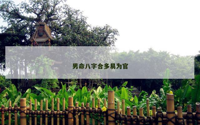 男命八字合多易为官