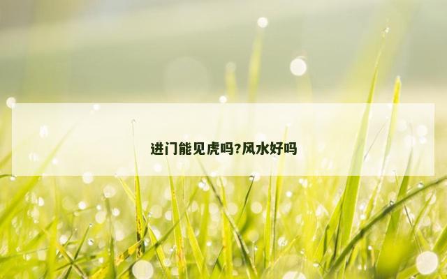 进门能见虎吗?风水好吗