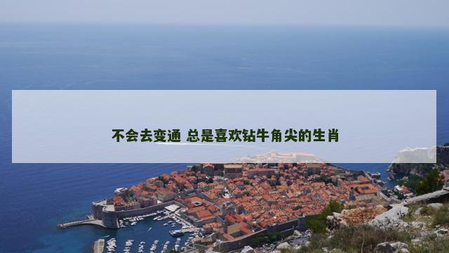 不会去变通 总是喜欢钻牛角尖的生肖