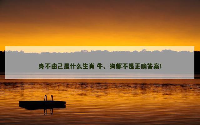 身不由己是什么生肖 牛、狗都不是正确答案！