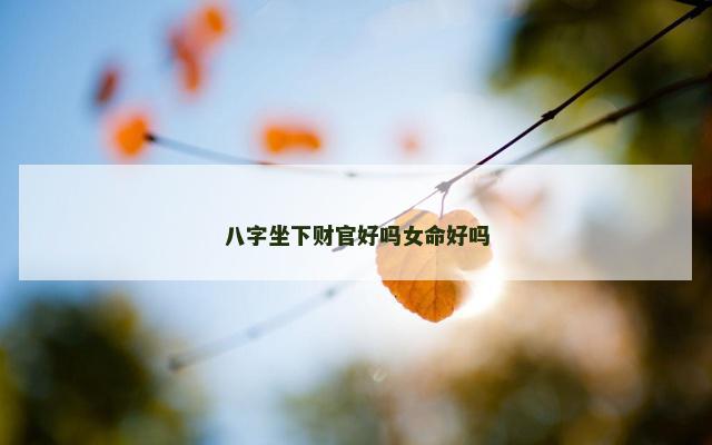 八字坐下财官好吗女命好吗