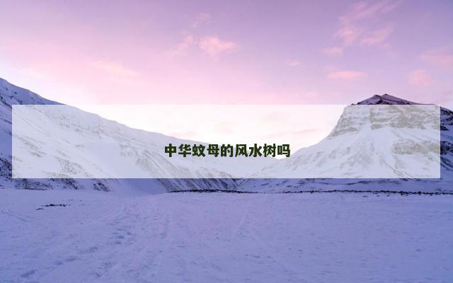 中华蚊母的风水树吗