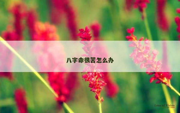 八字命很苦怎么办
