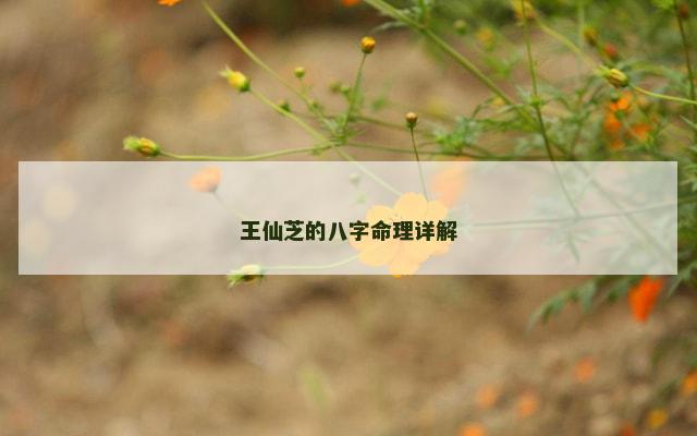 王仙芝的八字命理详解
