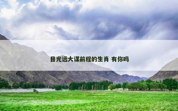 目光远大谋前程的生肖 有你吗
