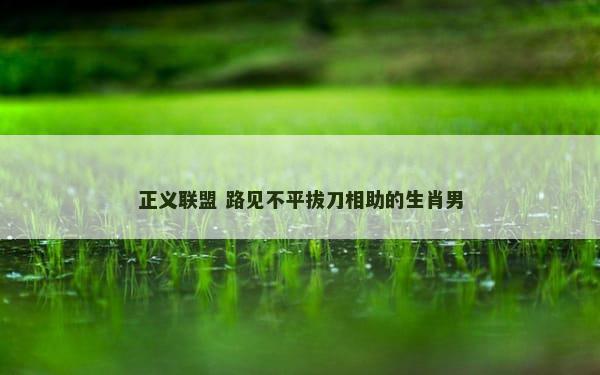正义联盟 路见不平拔刀相助的生肖男
