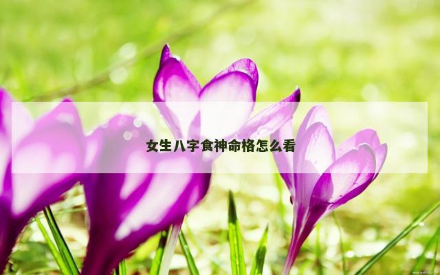 女生八字食神命格怎么看