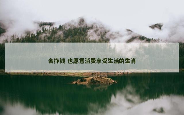 会挣钱 也愿意消费享受生活的生肖