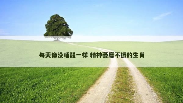 每天像没睡醒一样 精神萎靡不振的生肖