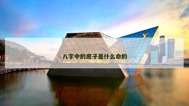 八字中的庶子是什么命的