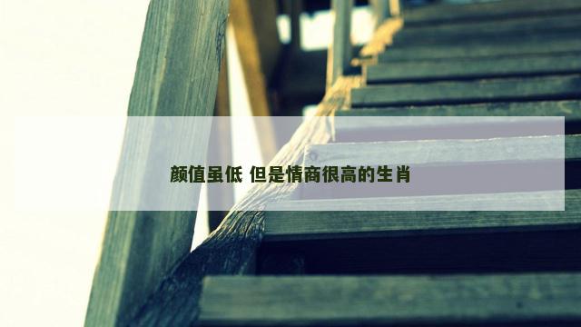 颜值虽低 但是情商很高的生肖