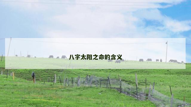 八字太阳之命的含义