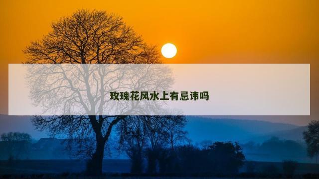 玫瑰花风水上有忌讳吗