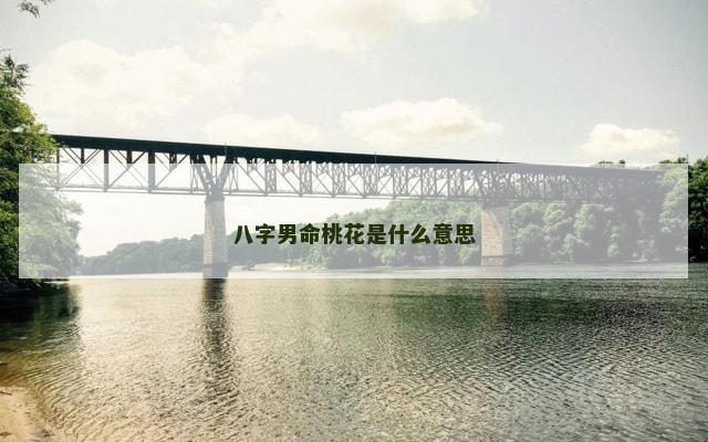 八字男命桃花是什么意思
