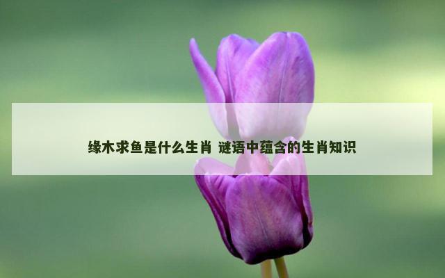 缘木求鱼是什么生肖 谜语中蕴含的生肖知识