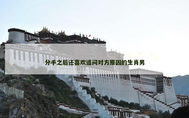 分手之后还喜欢追问对方原因的生肖男