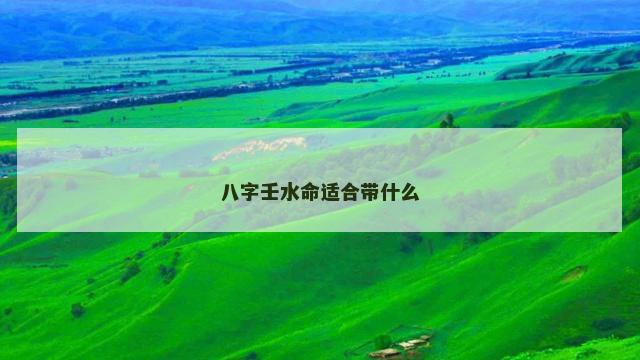 八字壬水命适合带什么