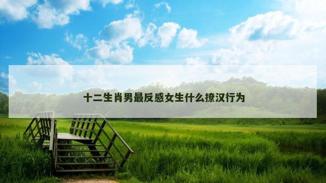 十二生肖男最反感女生什么撩汉行为