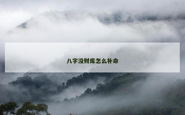 八字没财库怎么补命