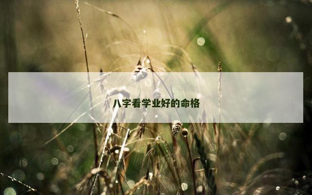 八字看学业好的命格