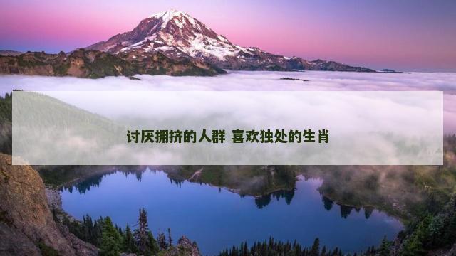讨厌拥挤的人群 喜欢独处的生肖