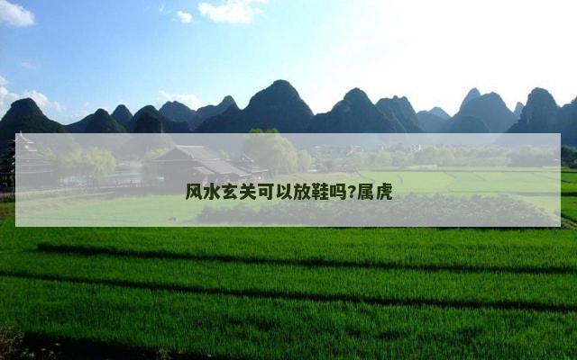 风水玄关可以放鞋吗?属虎