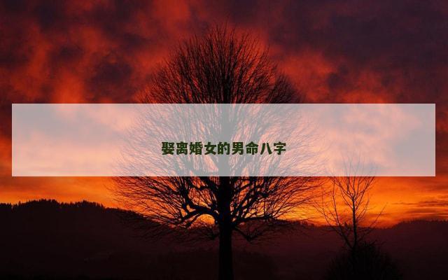 娶离婚女的男命八字