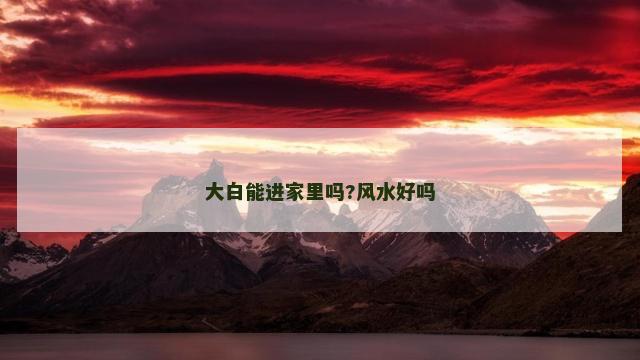 大白能进家里吗?风水好吗