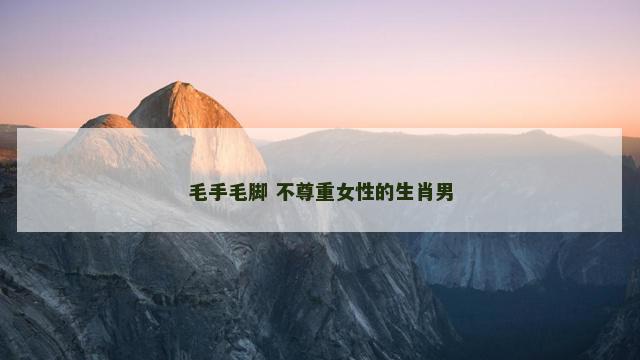 毛手毛脚 不尊重女性的生肖男