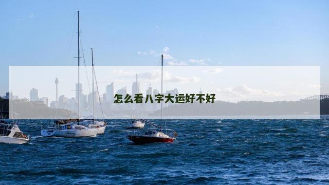 怎么看八字大运好不好