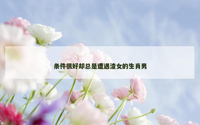 条件很好却总是遭遇渣女的生肖男