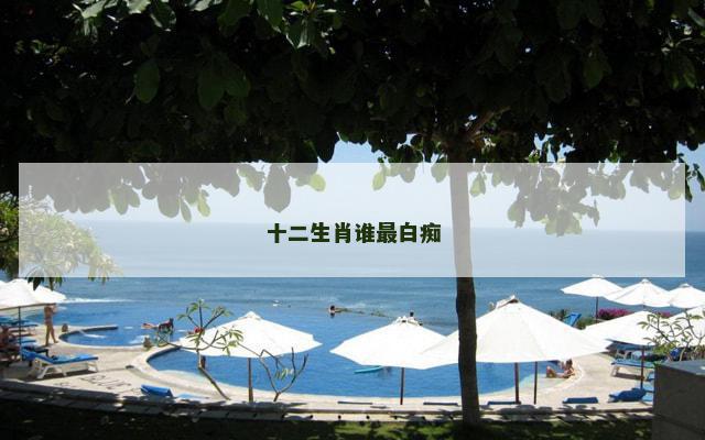 十二生肖谁最白痴