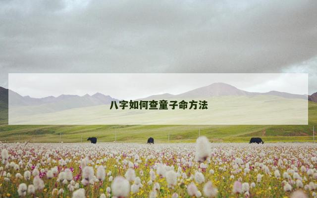 八字如何查童子命方法