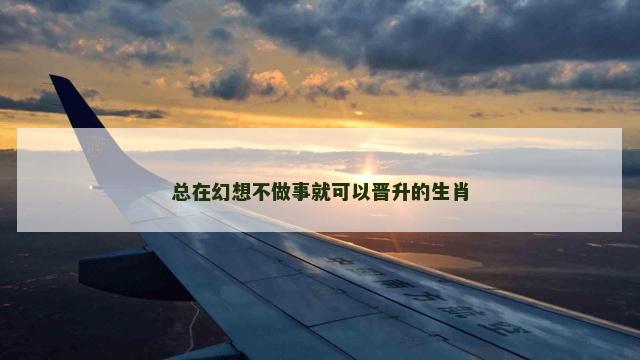 总在幻想不做事就可以晋升的生肖