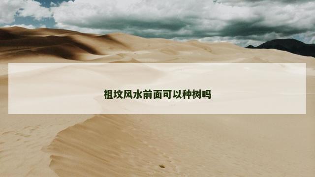 祖坟风水前面可以种树吗