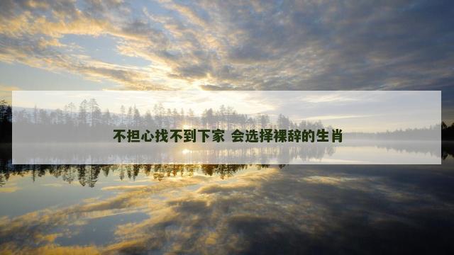 不担心找不到下家 会选择裸辞的生肖