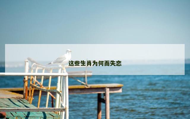 这些生肖为何而失恋