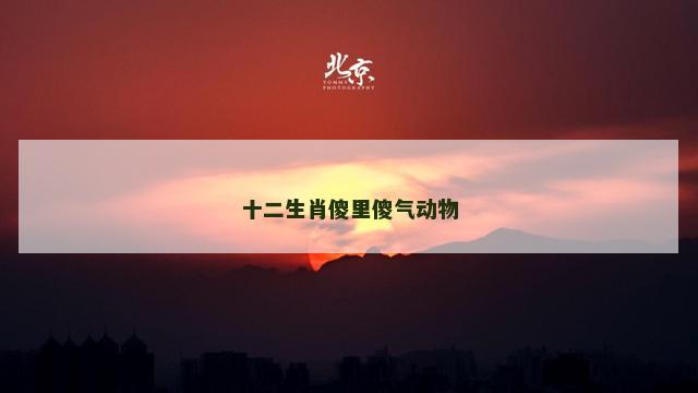 十二生肖傻里傻气动物