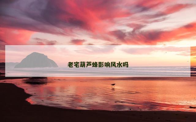 老宅葫芦蜂影响风水吗