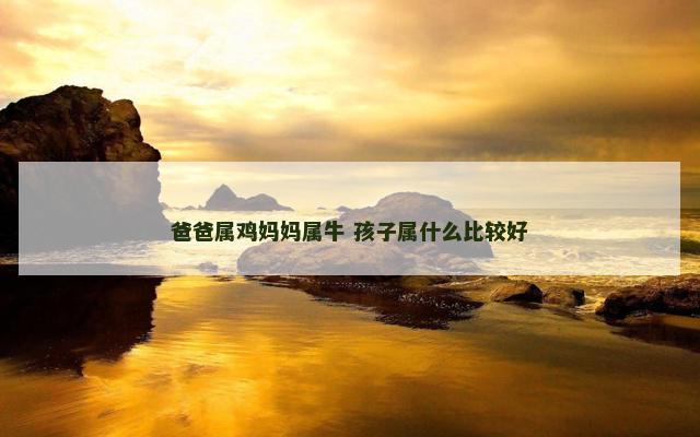 爸爸属鸡妈妈属牛 孩子属什么比较好