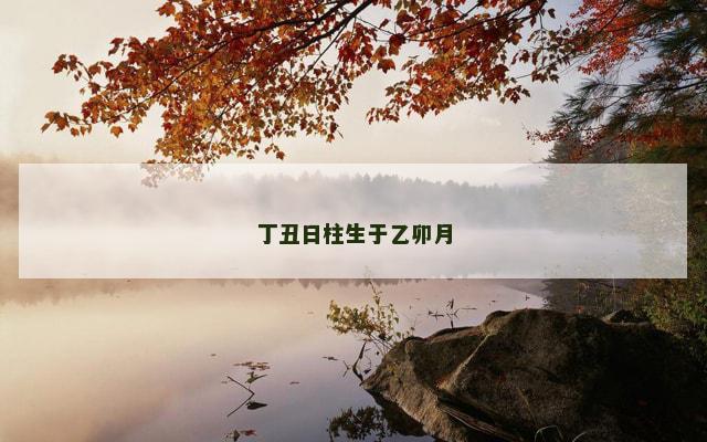 丁丑日柱生于乙卯月