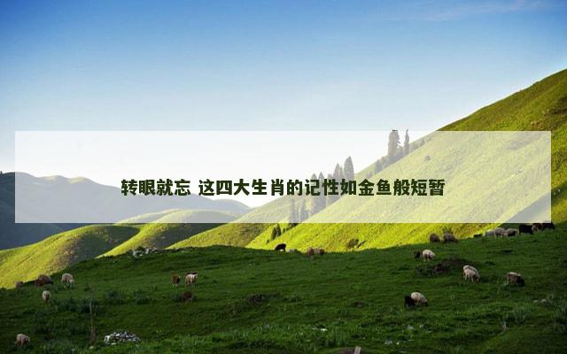 转眼就忘 这四大生肖的记性如金鱼般短暂