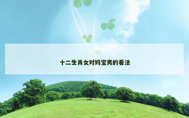 十二生肖女对妈宝男的看法