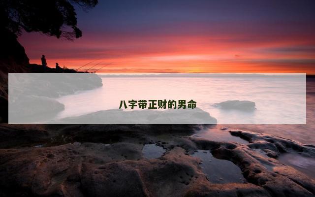 八字带正财的男命