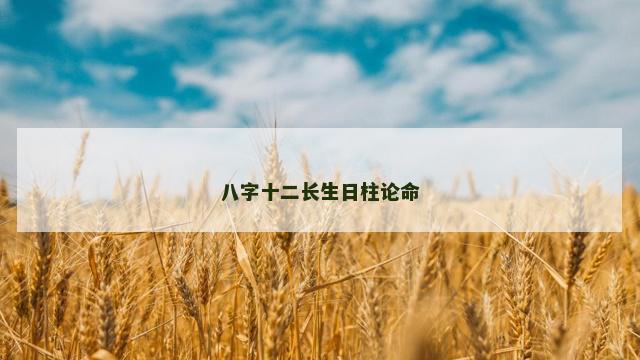 八字十二长生日柱论命