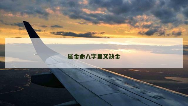 属金命八字里又缺金